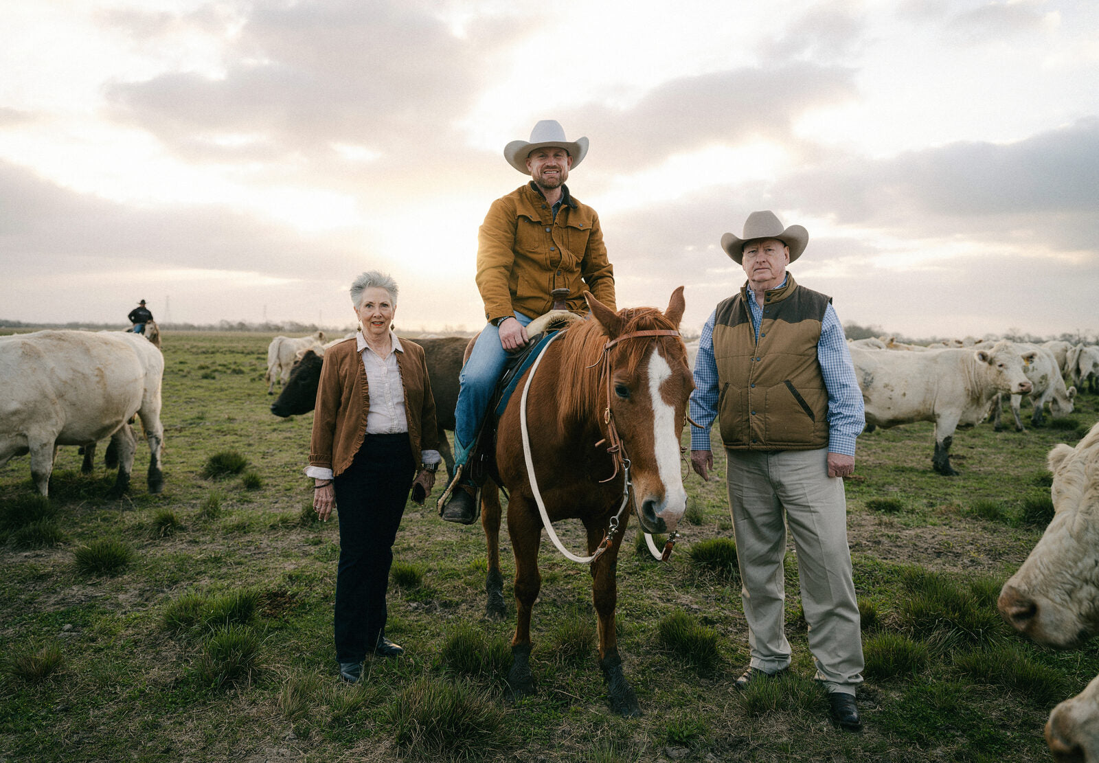 The Chef and Rancher team with their Charolais cattle at sunset